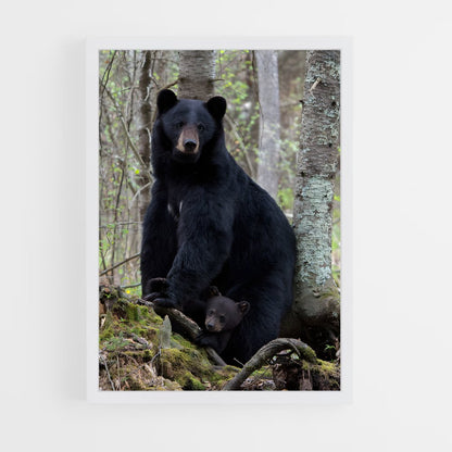 ap-black bear-1 cadre Blanc