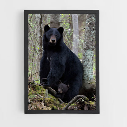ap-black bear-1 cadre Noir