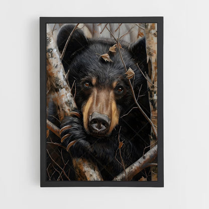 ap-black bear-2 cadre Noir