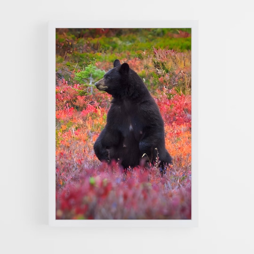 ap-black bear-3 cadre Blanc