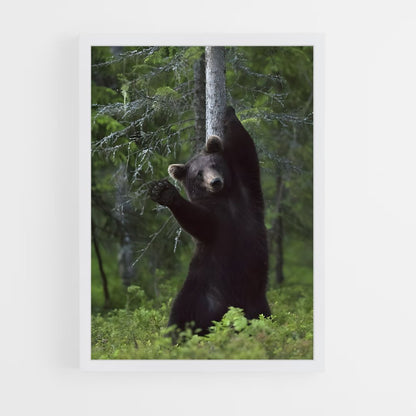 ap-black bear-4 cadre Blanc