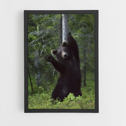 ap-black bear-4 cadre Noir