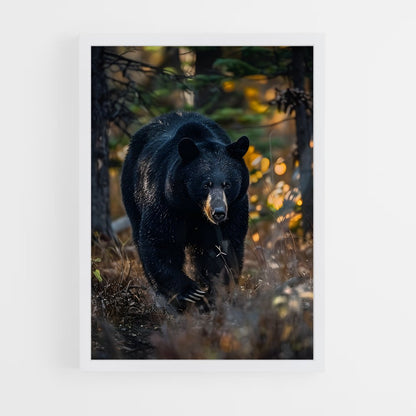 ap-black bear-5 cadre Blanc