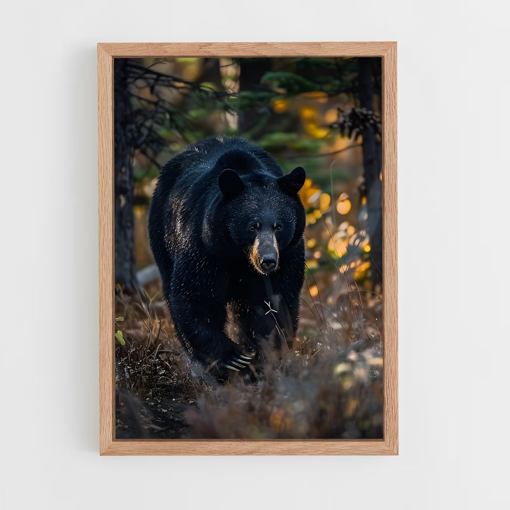 ap-black bear-5 cadre Bois clair