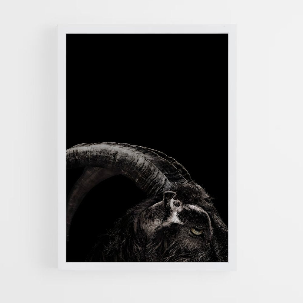 ap-black phillip-1 cadre Blanc