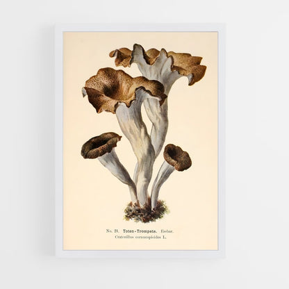 ap-black trumpet-1 cadre Blanc