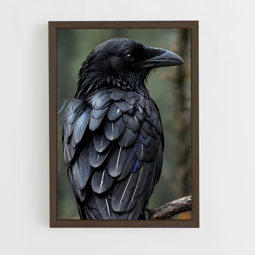 ap-blackbird-4 cadre Bois foncé