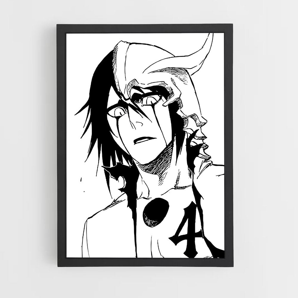 ap-bleach-2 cadre Noir