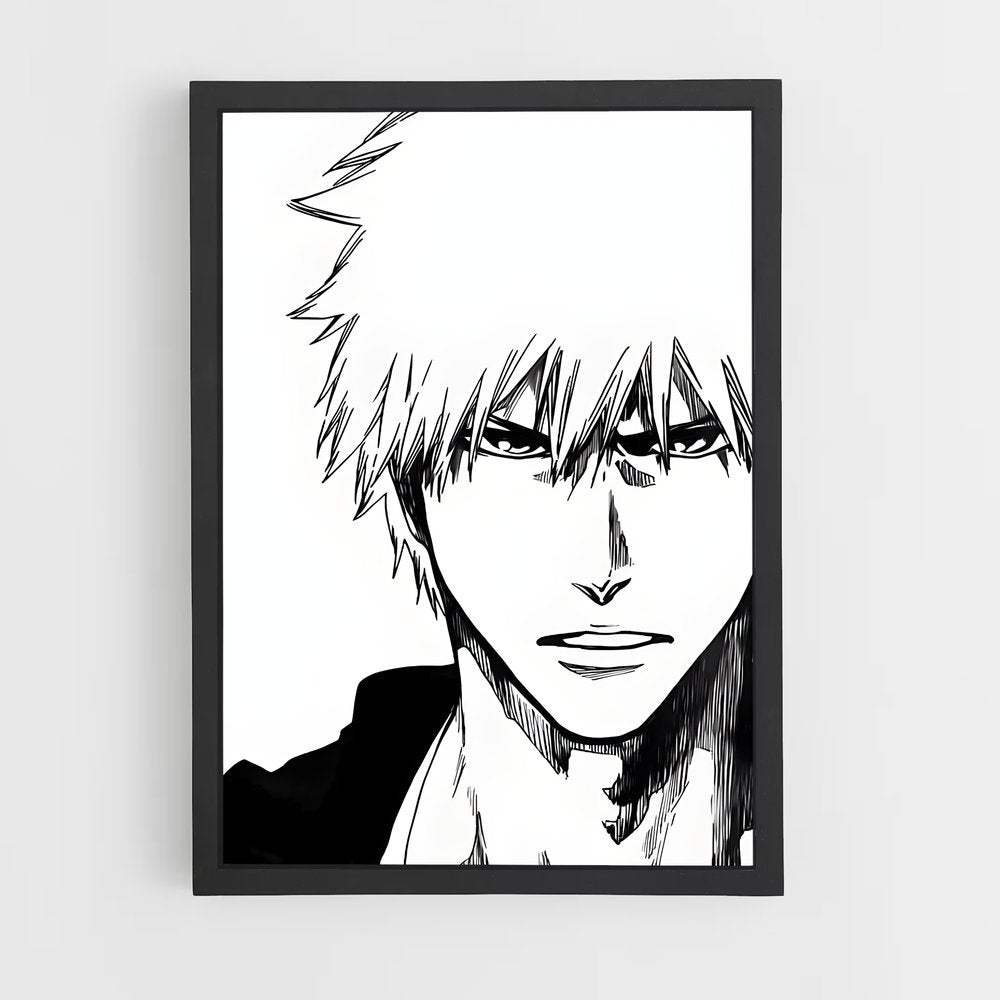 ap-bleach-4 cadre Noir