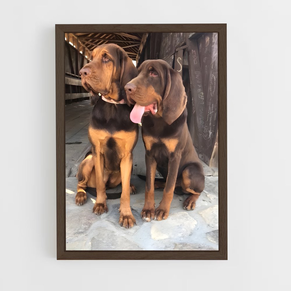 ap-bloodhound-6 cadre Bois foncé
