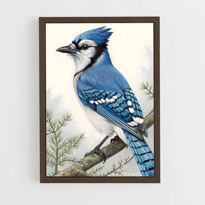ap-blue jay-2 cadre Bois foncé