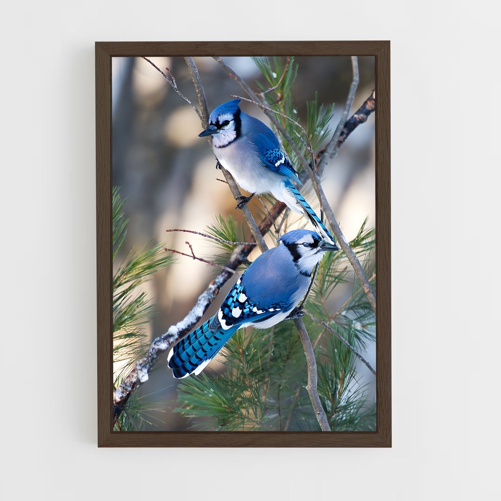 ap-blue jay-3 cadre Bois foncé