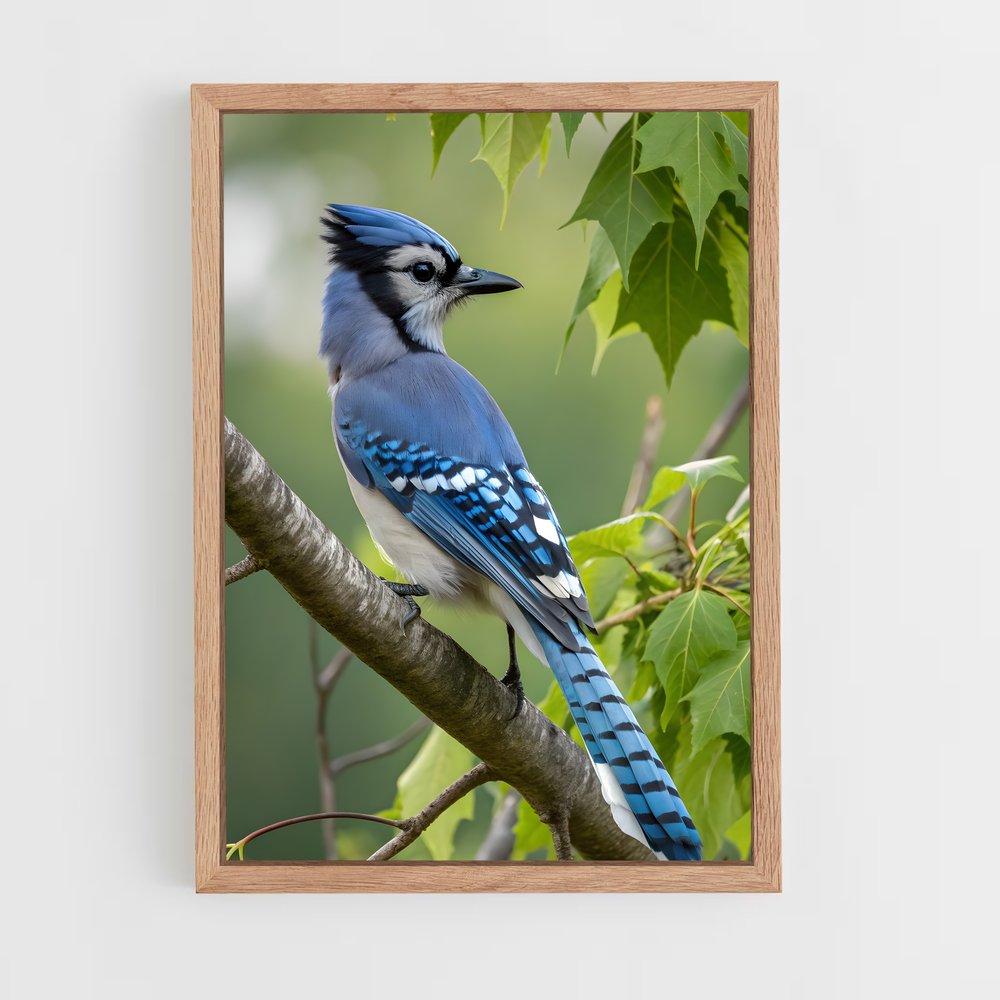 ap-blue jay-6 cadre Bois clair