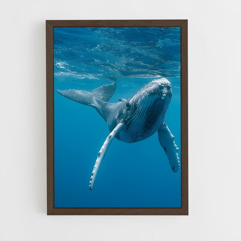 ap-blue whale-1 cadre Bois foncé