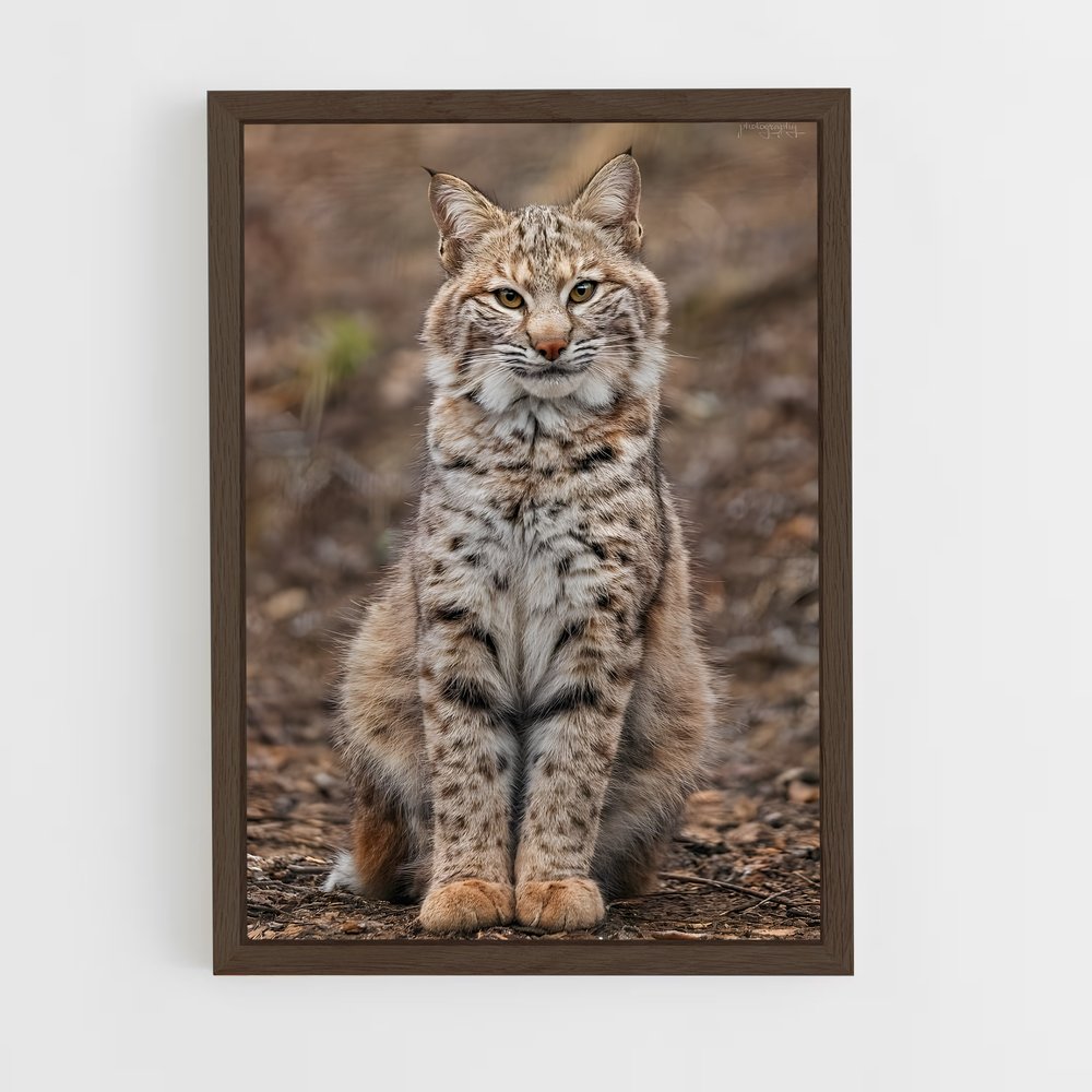 ap-bobcat-1 cadre Bois foncé