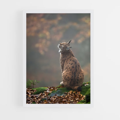 ap-bobcat-2 cadre Blanc