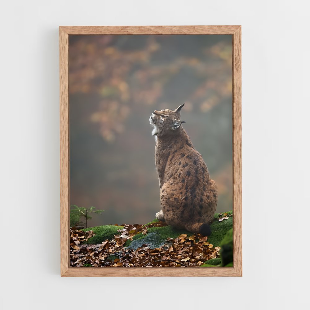 ap-bobcat-2 cadre Bois clair