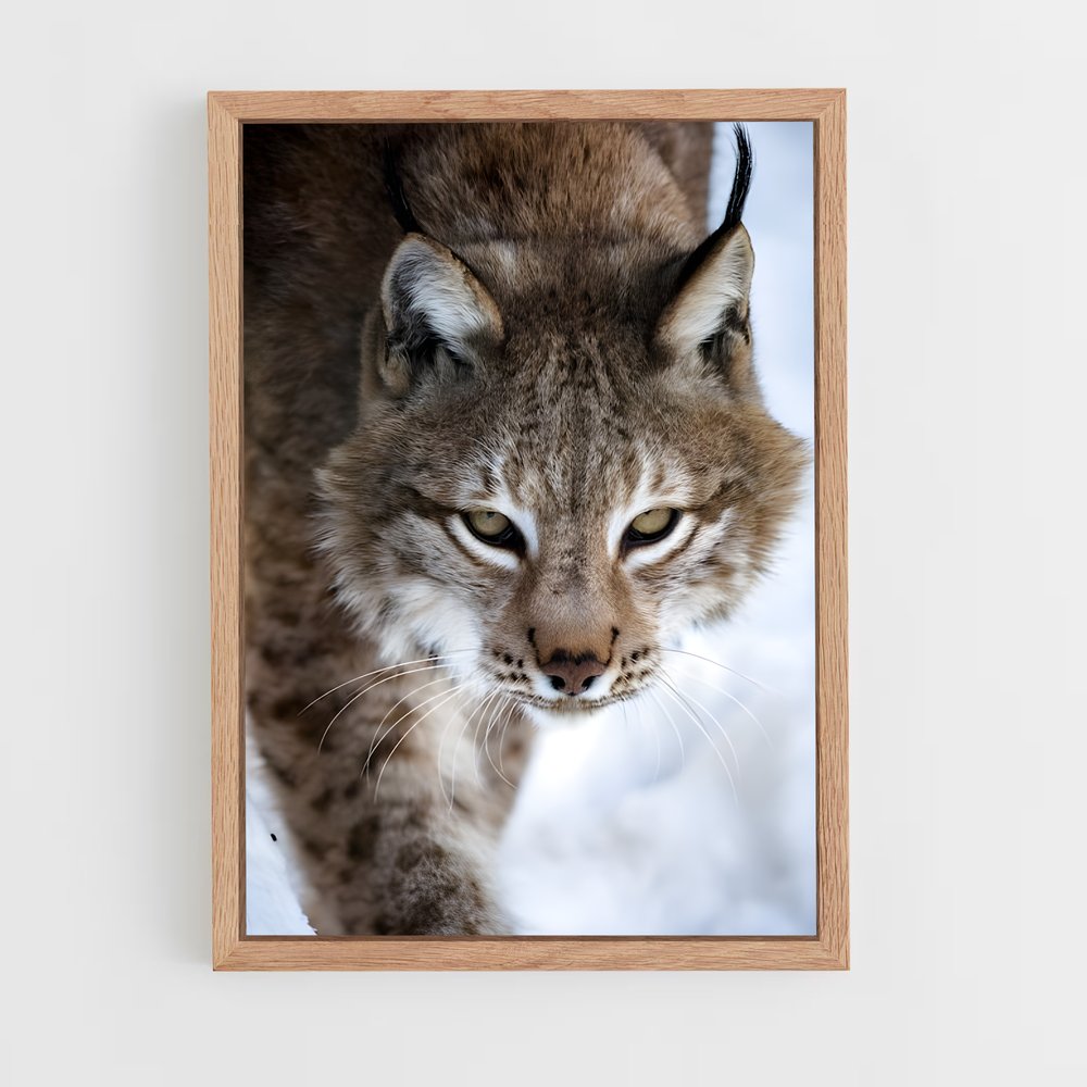 ap-bobcat-3 cadre Bois clair