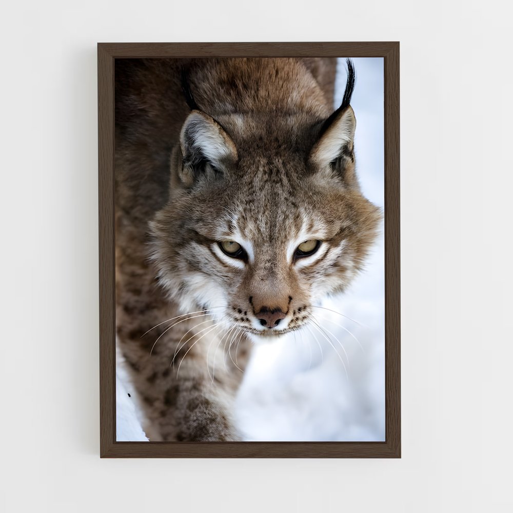 ap-bobcat-3 cadre Bois foncé