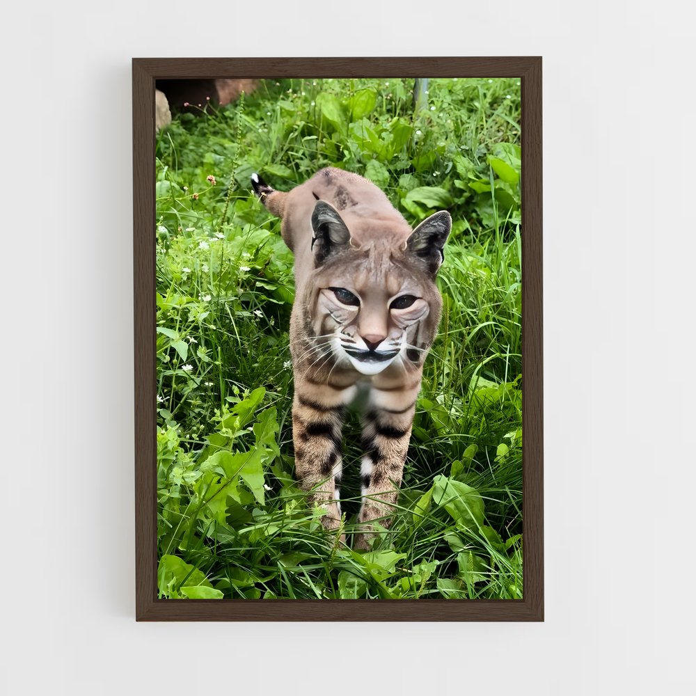 ap-bobcat-4 cadre Bois foncé