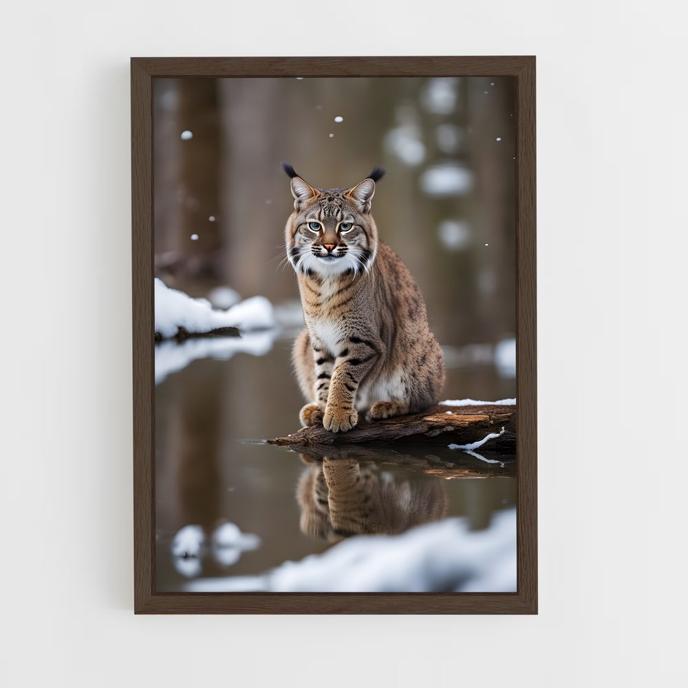 ap-bobcat-5 cadre Bois foncé