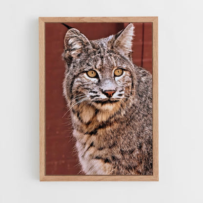 ap-bobcat-6 cadre Bois clair