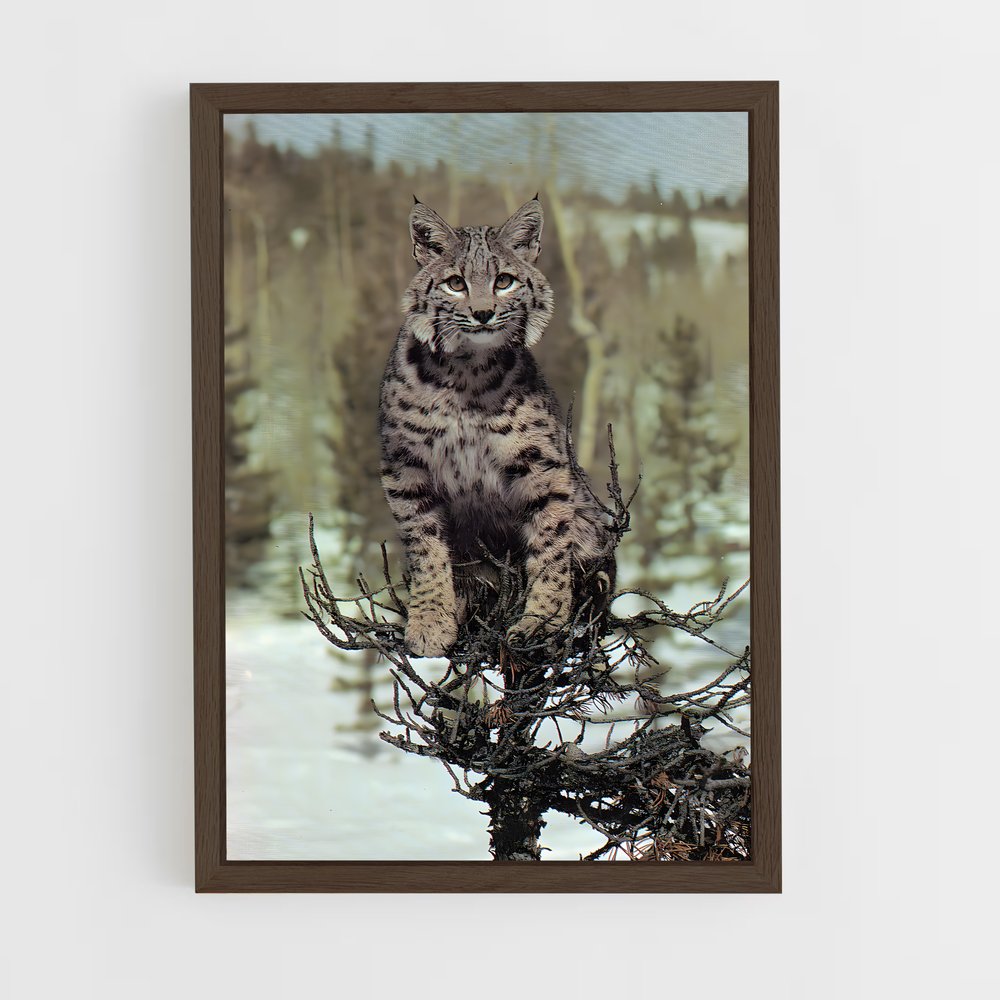 ap-bobcat-9 cadre Bois foncé