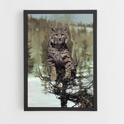 ap-bobcat-9 cadre Noir