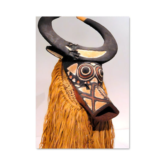 Poster Masque de Bobo