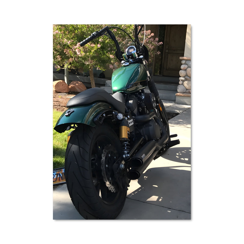 Poster La Moto Verte