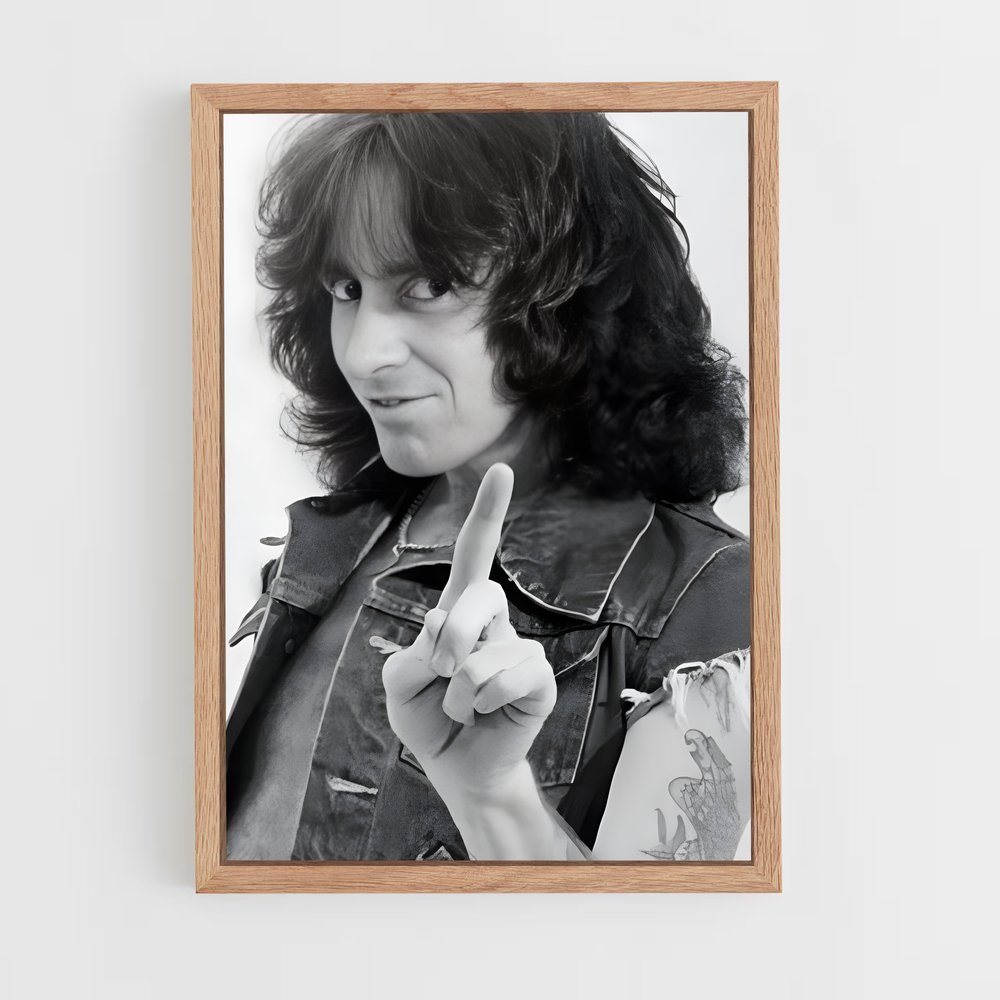 ap-bon scott-4 cadre Bois clair
