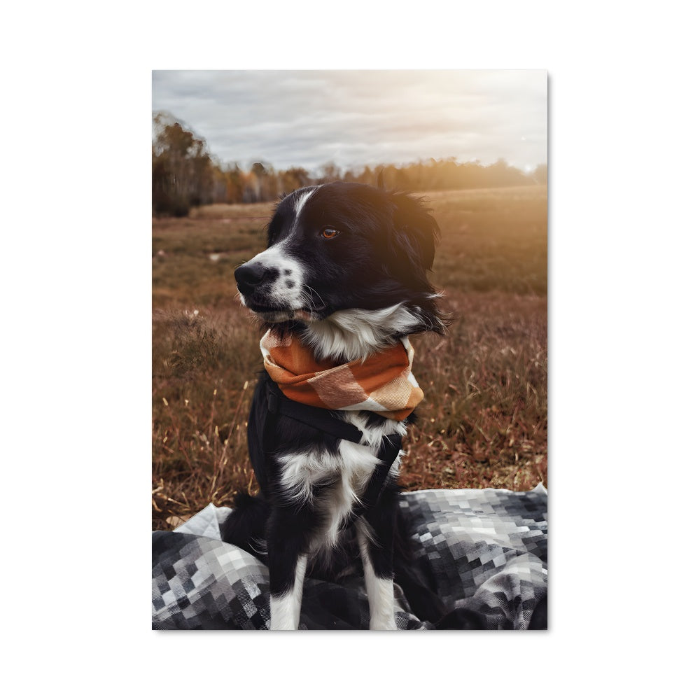 Poster Compagnon Étoilé