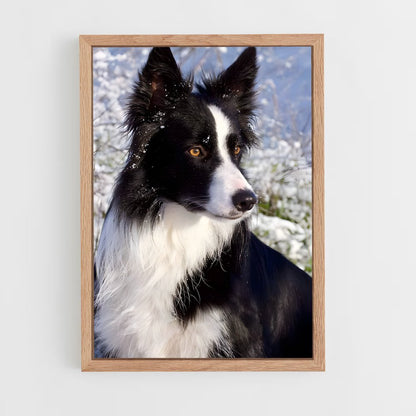 ap-border collie-2 cadre Bois clair