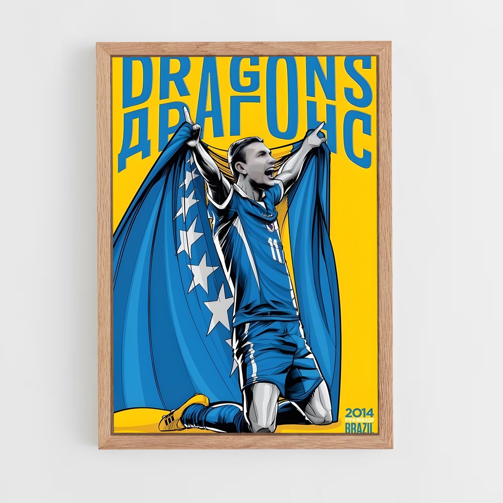 ap-bosnia herzegovina national football team-1 cadre Bois clair