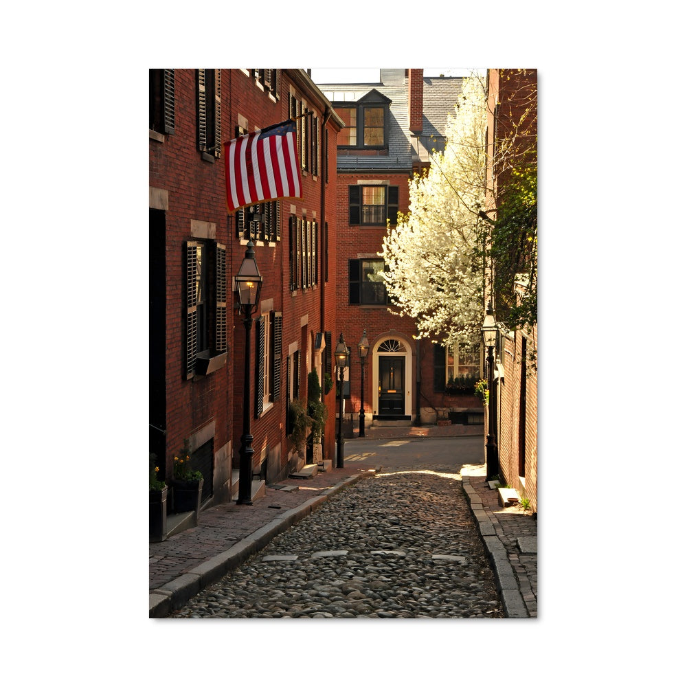 Poster Bostonian Dream