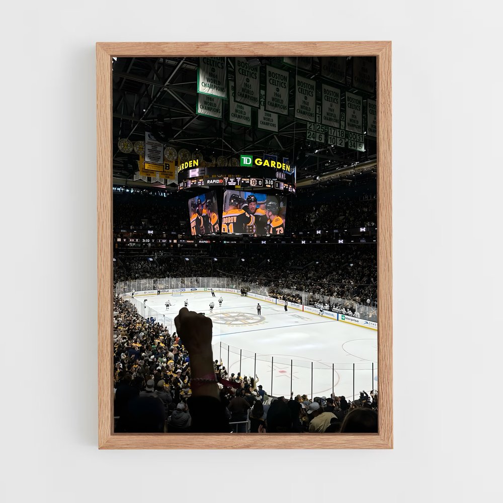 ap-boston bruins-1 cadre Bois clair