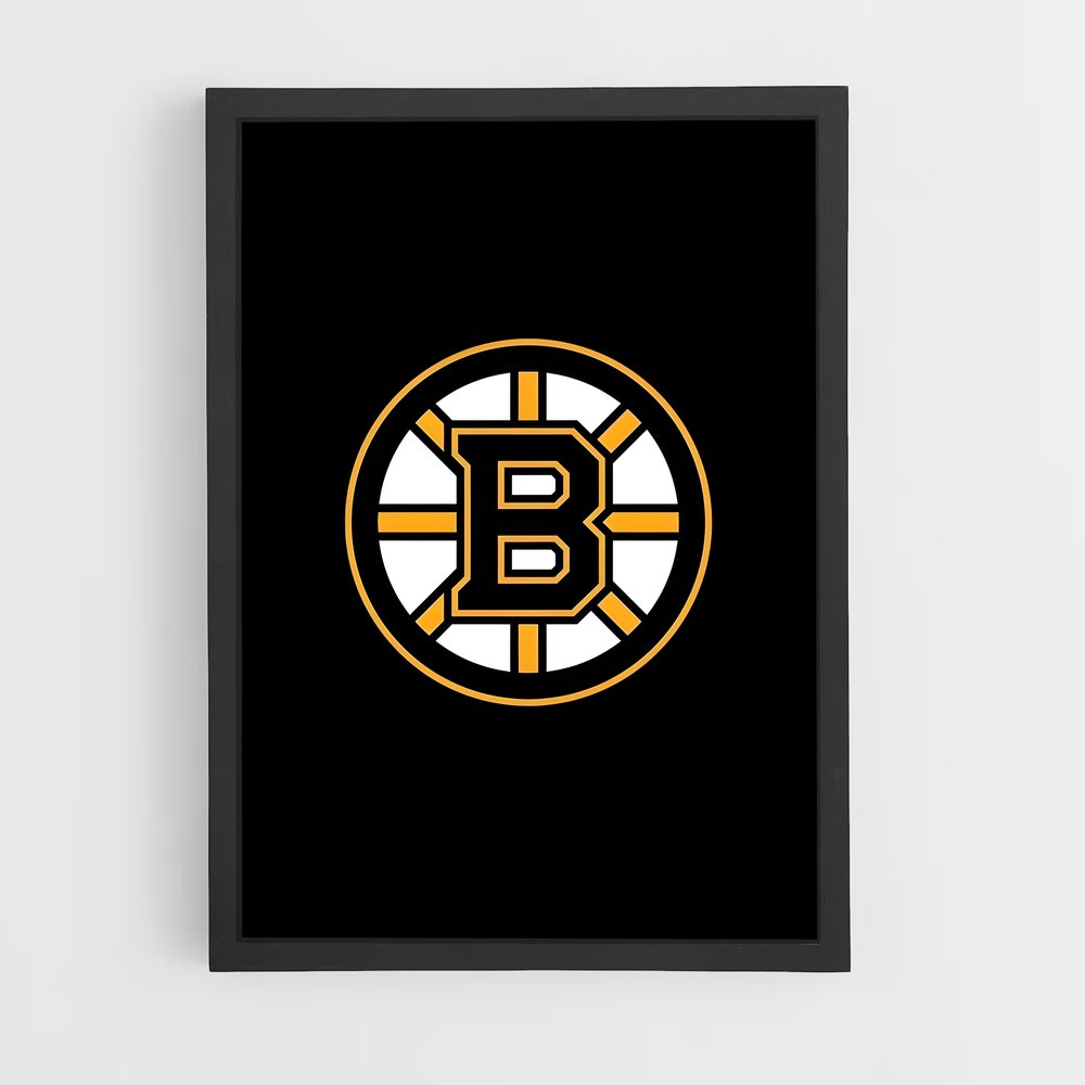 ap-boston bruins-2 cadre Noir