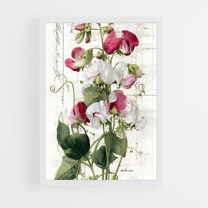 ap-botanical-1 cadre Blanc