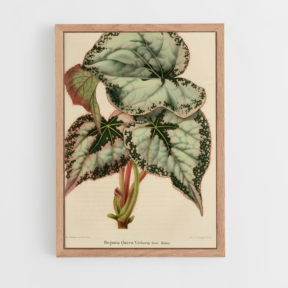 ap-botanical-11 cadre Bois clair