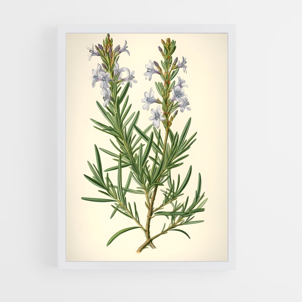ap-botanical-8 cadre Blanc