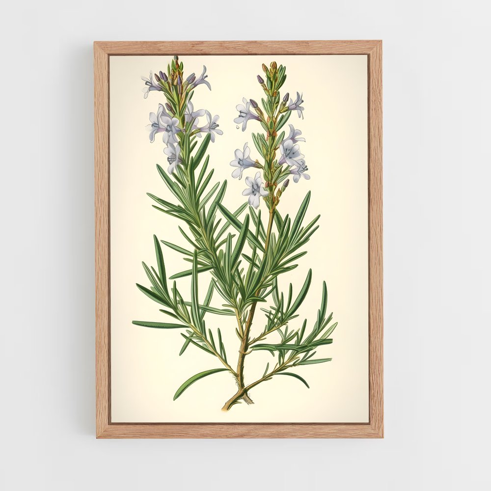 ap-botanical-8 cadre Bois clair