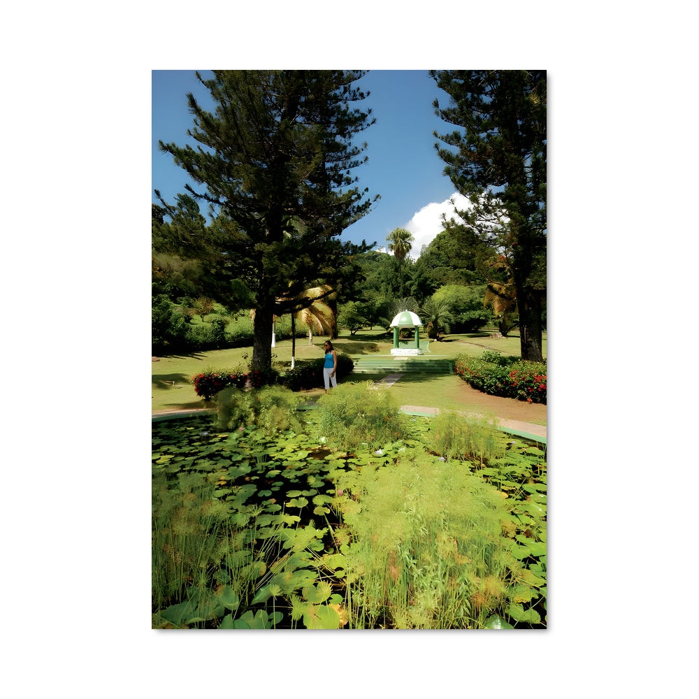 Poster Jardin de Nénuphars