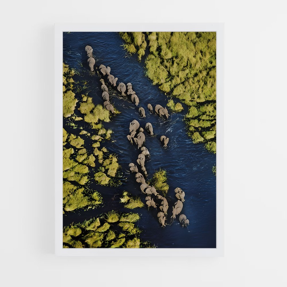 ap-botswana-11 cadre Blanc