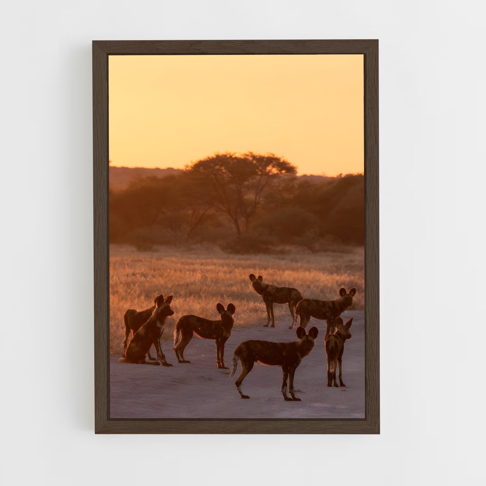 ap-botswana-5 cadre Bois foncé