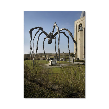 Poster Araignée Sacrée