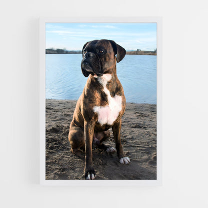ap-boxer-3 cadre Blanc