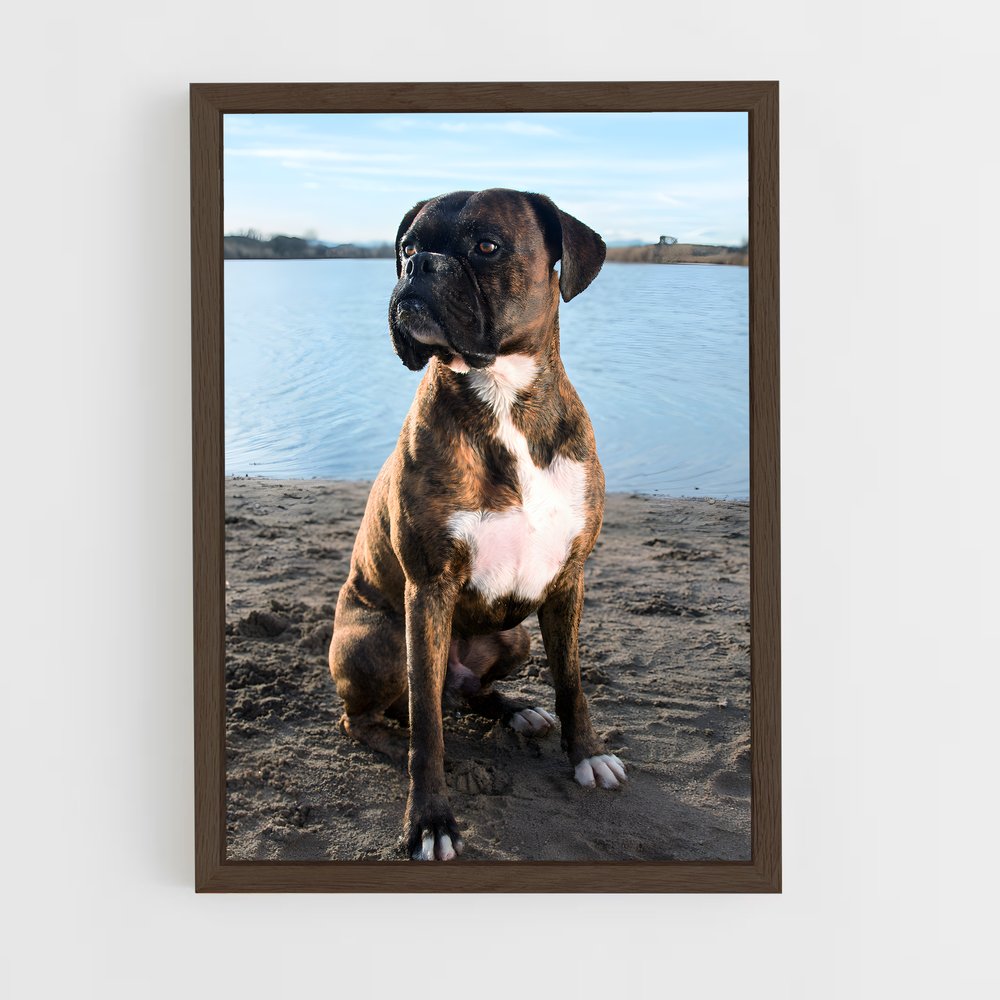 ap-boxer-3 cadre Bois foncé