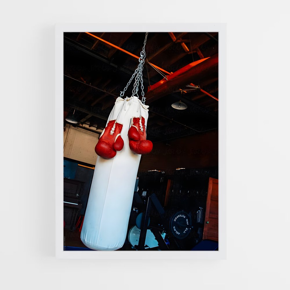 ap-boxing-12 cadre Blanc