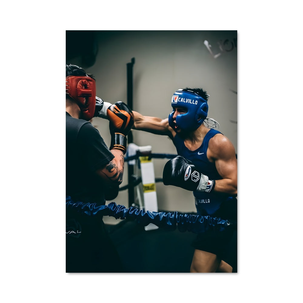 Poster Boxing 60663