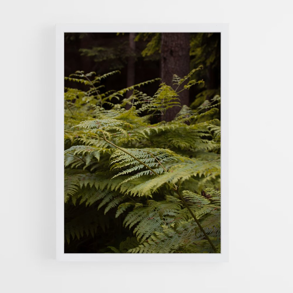 ap-bracken fern-1 cadre Blanc